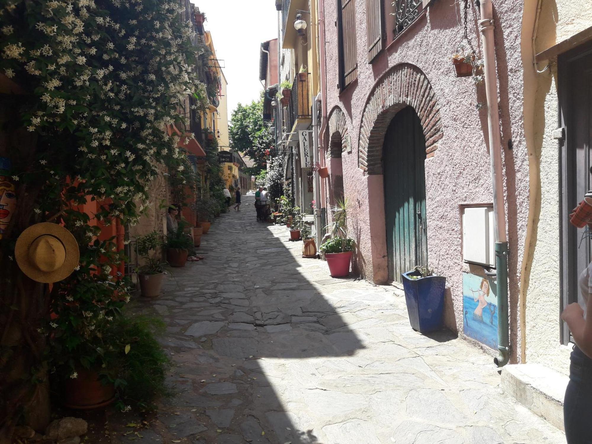 Villa Mas Des Criques Collioure